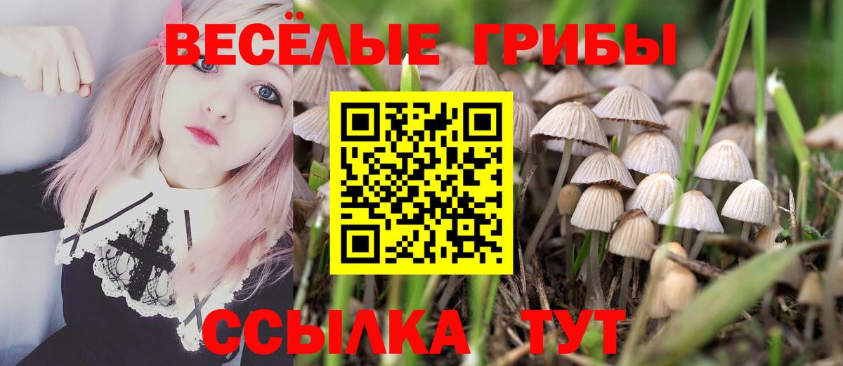 Галлюциногенные грибы Magic Shrooms Коряжма